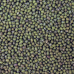 Mung Beans 12x500g