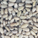 Pine Kernels 12x125g