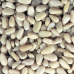 Pine Kernels 1kg