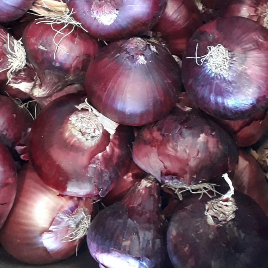 Onions Red - 100g