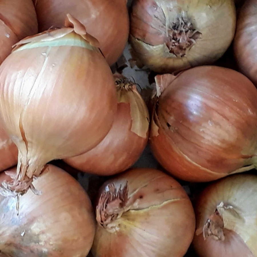 Onions Brown - 100g