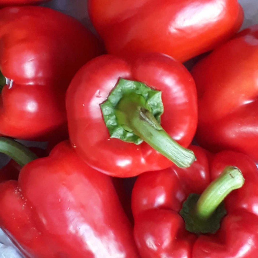 Peppers Red - 100g