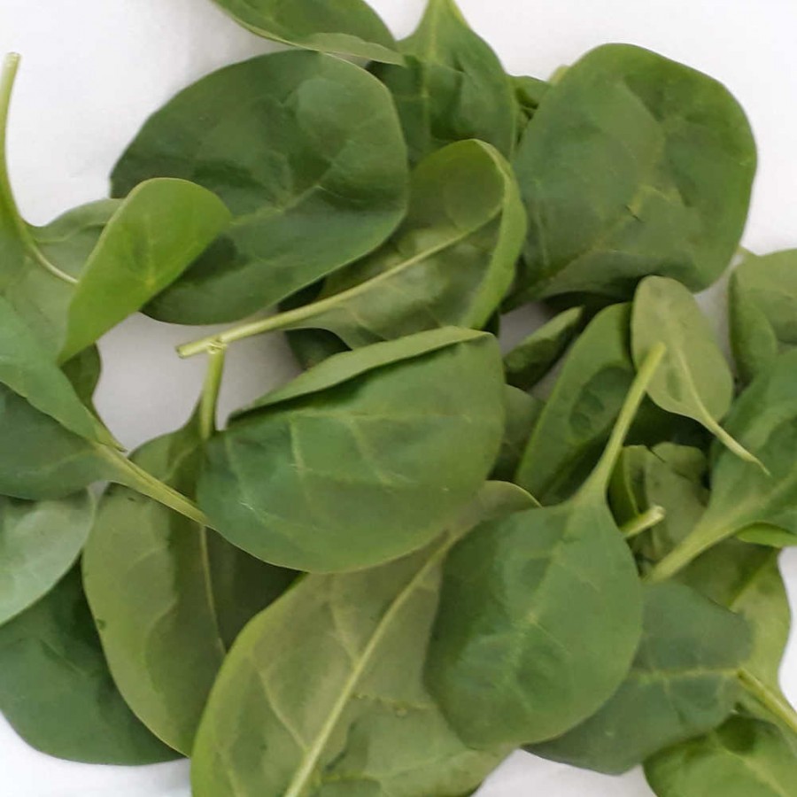 Spinach Baby (pack) 100g