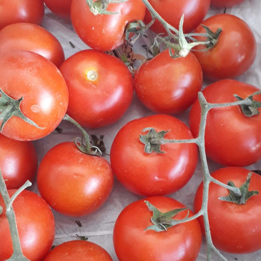 Tomatoes Vine - 100g